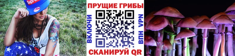 omg маркетплейс  Рыбинск  Псилоцибиновые грибы Cubensis  как найти закладки 